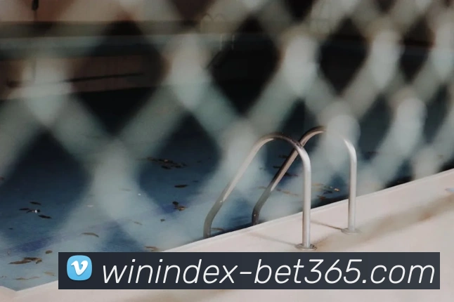 App Interface Preview